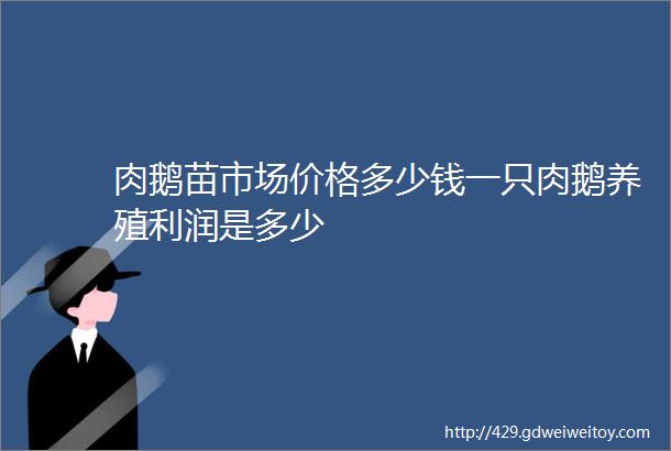 肉鹅苗市场价格多少钱一只肉鹅养殖利润是多少